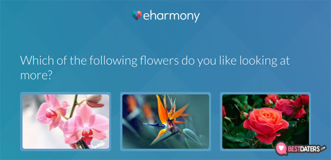 Eharmony: fleurs.